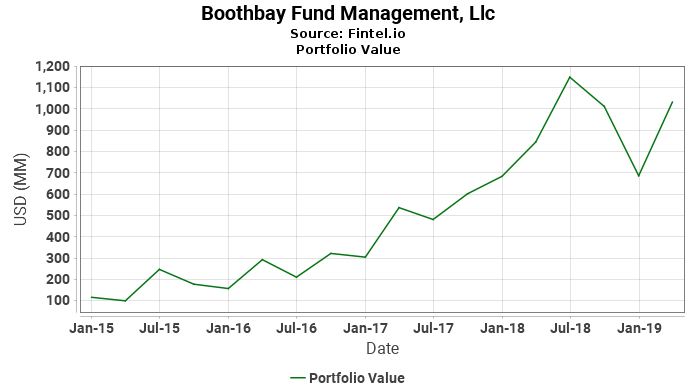 Boothbay Fund Management, Llc - Portfolio Value