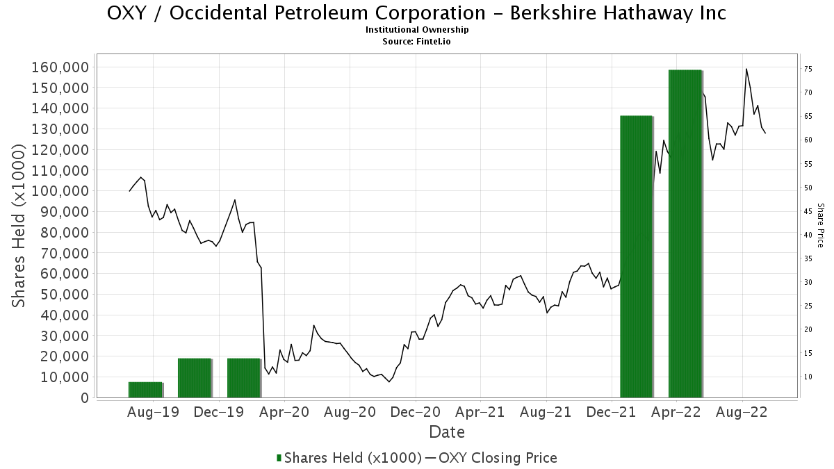 Berkshire visual data 5