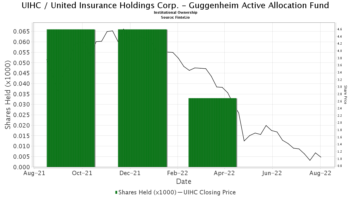Guggenheim Active Allocation Fund reports 260.61 increase