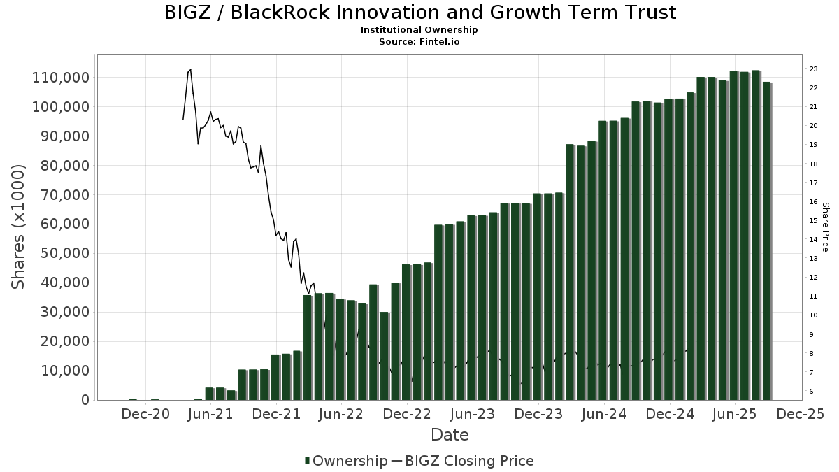 BIGZ - BlackRock Innovation and Growth Term Trust Stock
