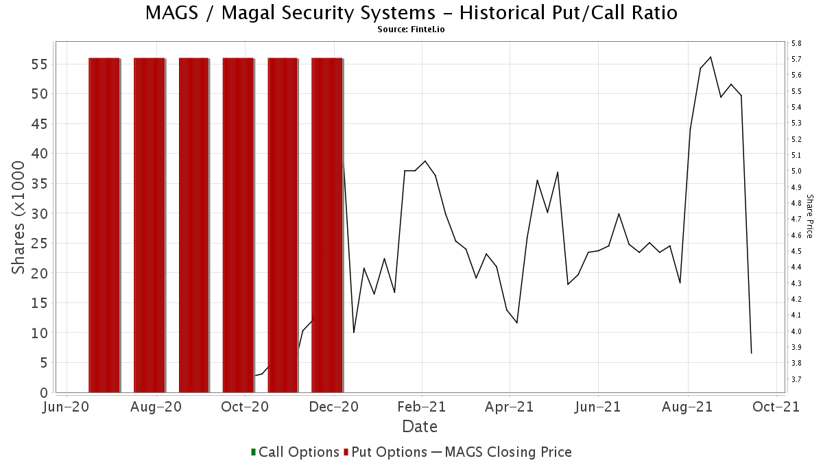 MAGS Institutional Ownership and Shareholders Magal Security Systems
