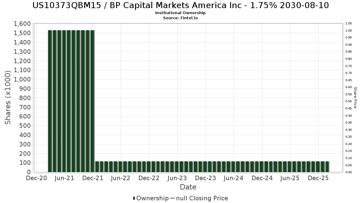 US10373QBM15 机构投资人持股和股东英国石油资本市场美国公司股票